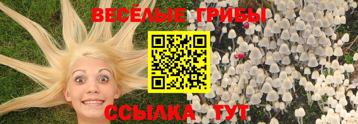 Псилоцибиновые грибы Magic Shrooms  Вход с VPN  Лениногорск 