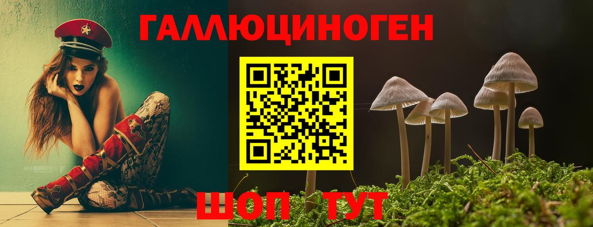 Галлюциногенные грибы Magic Shrooms Лениногорск